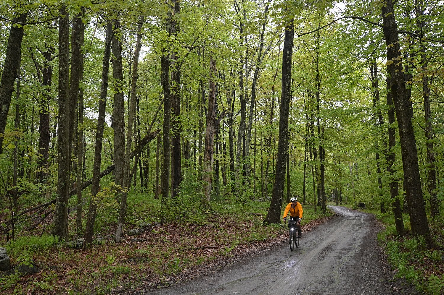 Gallery The Farmer's Daughter Gravel Grinder